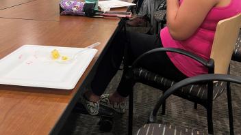 LSFA Fall 2023 Meeting 