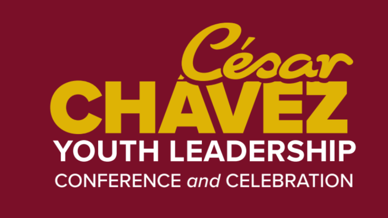 CCYLC_BANNER_2023_(2000 x 460 px).png
