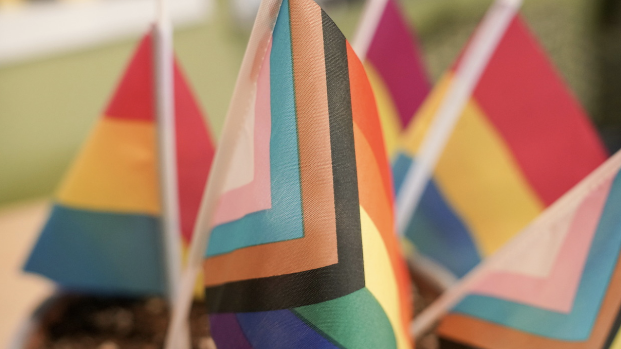 UC Davis Pride Month