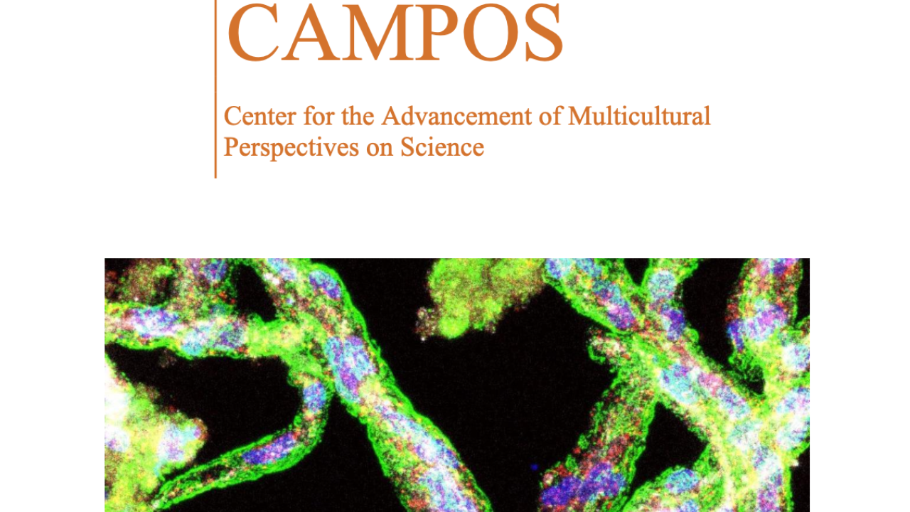 Cover page titled "YEAR 2020 REPORT" with a colorful microscopic image of brain microvessels below.