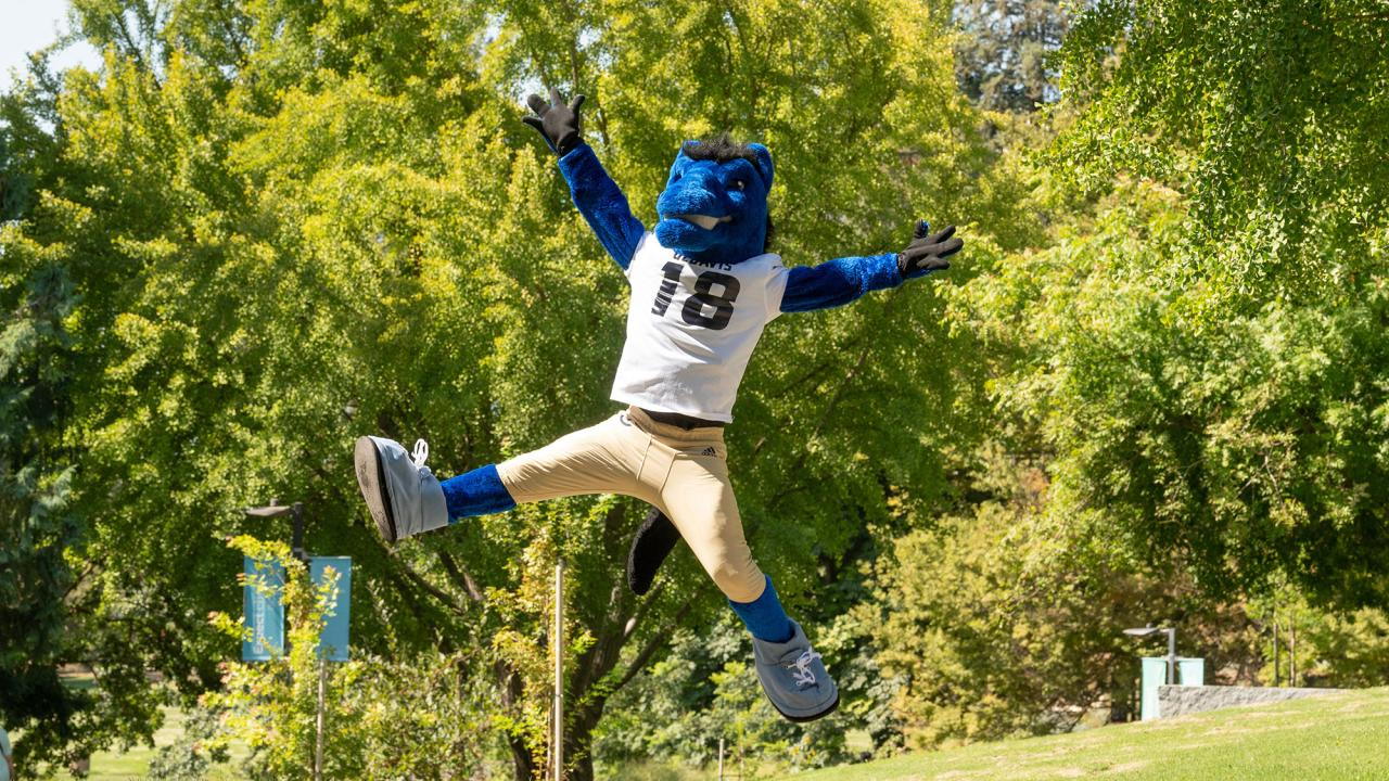 UC Davis Stands Out for Research, Teaching, and Global Impact in New Rankings