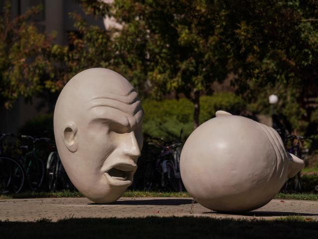 egg heads