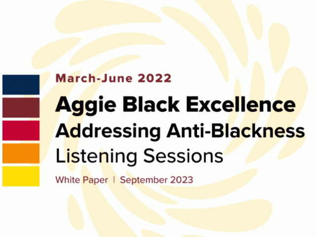 ABE White Paper