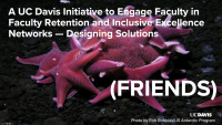 FRIENDS IntroConcluding slide thumbnail