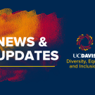blue background with text news and updates, DEI logo and office name