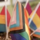 UC Davis Pride Month