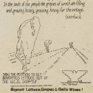 Advert to SIGqN THE PErTiON TO GET BOYCOTTED LETTUCE OUT OF THE U.C.D. DORMS!