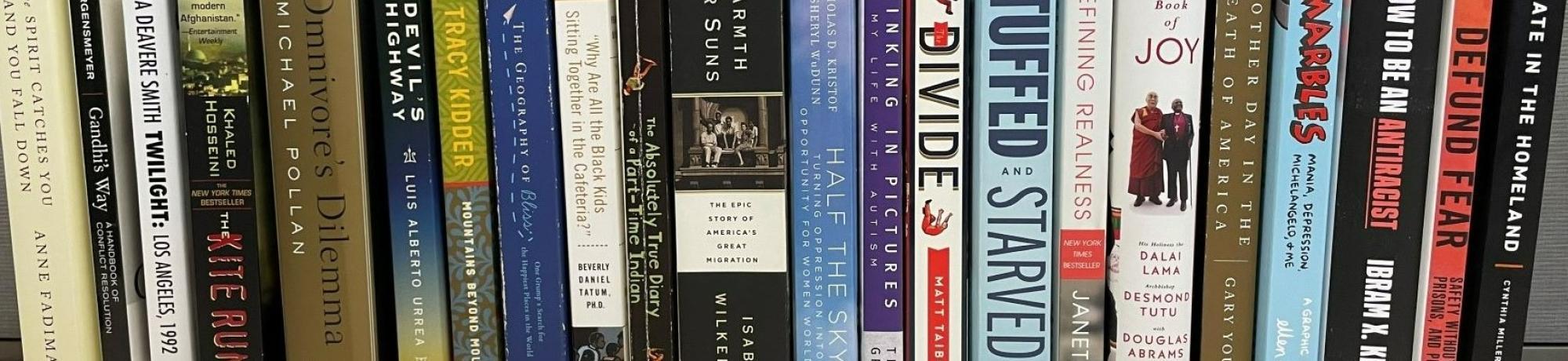 02-23 Book Project Titles spines only hero.jpg